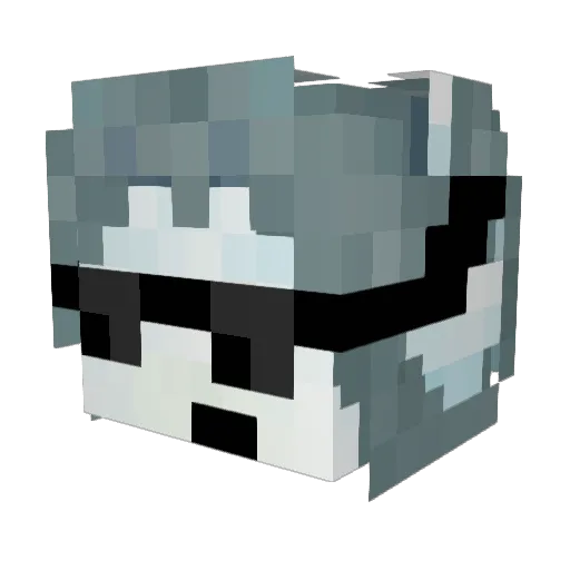 coolztemmie15 Minecraft avatar head, 3D render