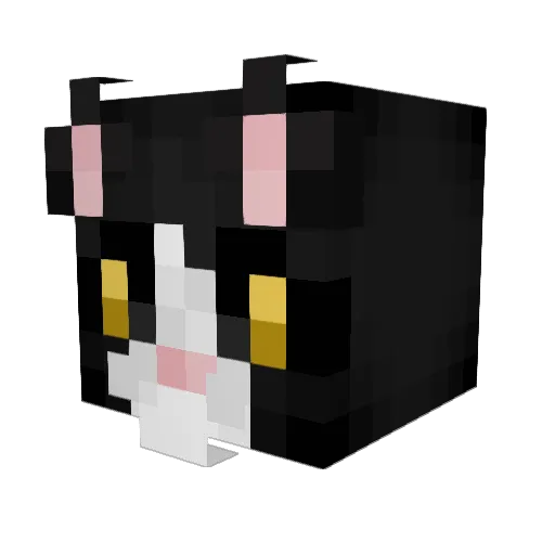 coomschmutz Minecraft avatar head, 3D render
