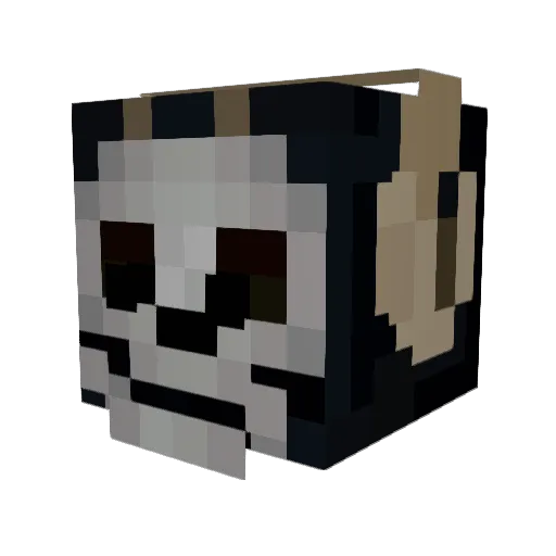coookie69420 Minecraft avatar head, 3D render