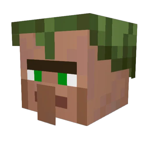 coopazoopa Minecraft avatar head, 3D render