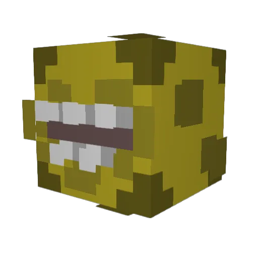 coopcraft321 Minecraft avatar head, 3D render