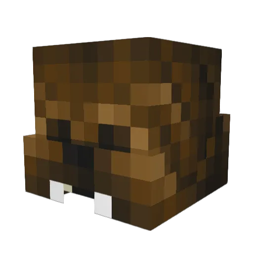 coopeler Minecraft avatar head, 3D render