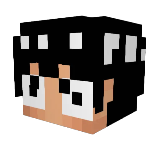 cooper_tm Minecraft avatar head, 3D render