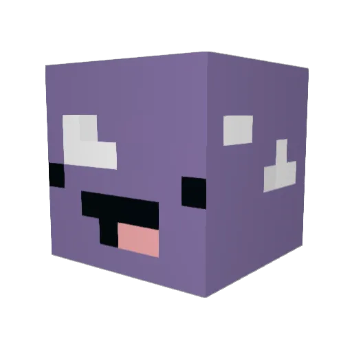cooperhax Minecraft avatar head, 3D render
