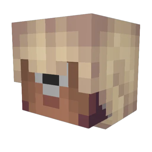cooperjsm Minecraft avatar head, 3D render