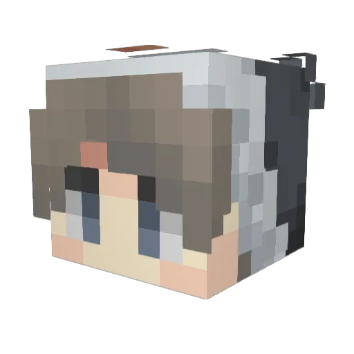 coopjc Minecraft avatar head, 3D render