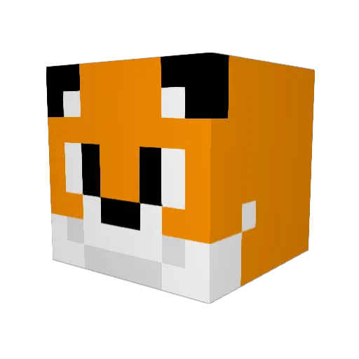 coops204 Minecraft avatar head, 3D render