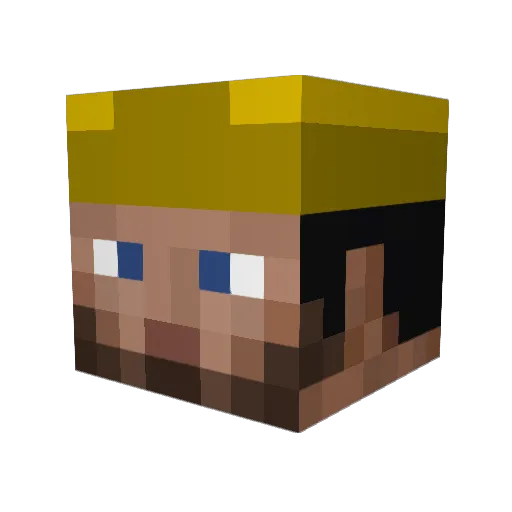 coops3 Minecraft avatar head, 3D render