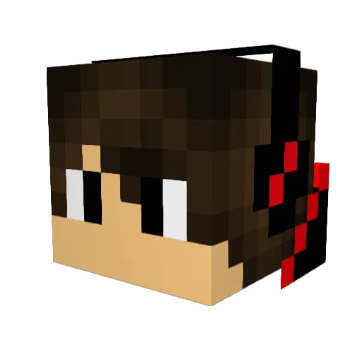 coopsindahouse Minecraft avatar head, 3D render