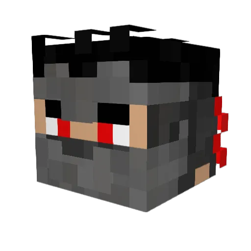 coopy1150 Minecraft avatar head, 3D render