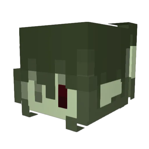 copeia Minecraft avatar head, 3D render