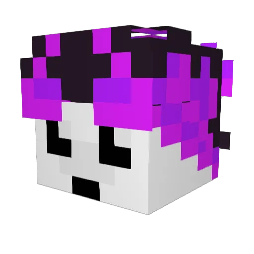 coponacm156 Minecraft avatar head, 3D render