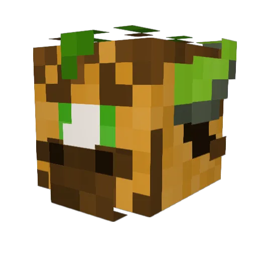 coppercrash Minecraft avatar head, 3D render