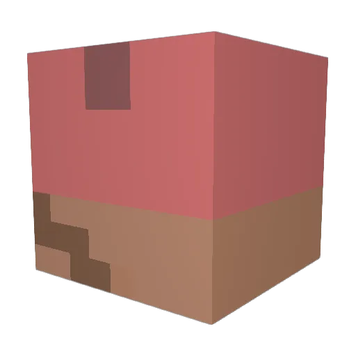 copperfish11 Minecraft avatar head, 3D render