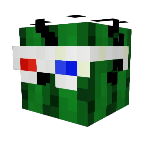 copterdr_jr Minecraft avatar head, 3D render