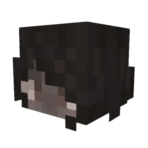 cora1001 Minecraft avatar head, 3D render
