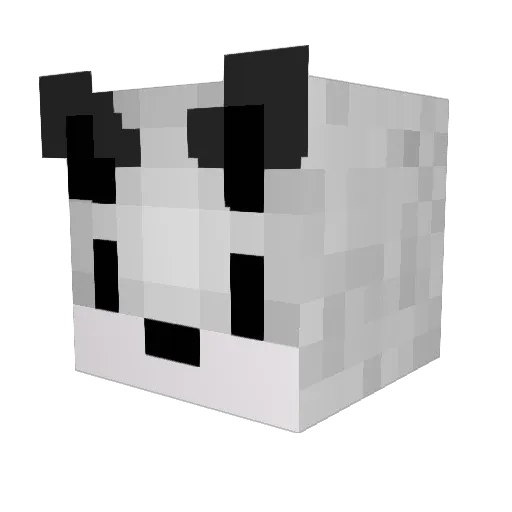 coracleboat Minecraft avatar head, 3D render