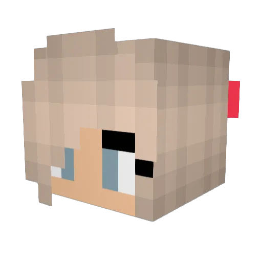corahora02 Minecraft avatar head, 3D render