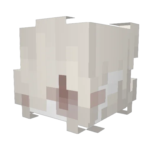 coralamethyst Minecraft avatar head, 3D render
