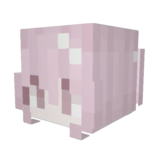 coralsreef Minecraft avatar head, 3D render