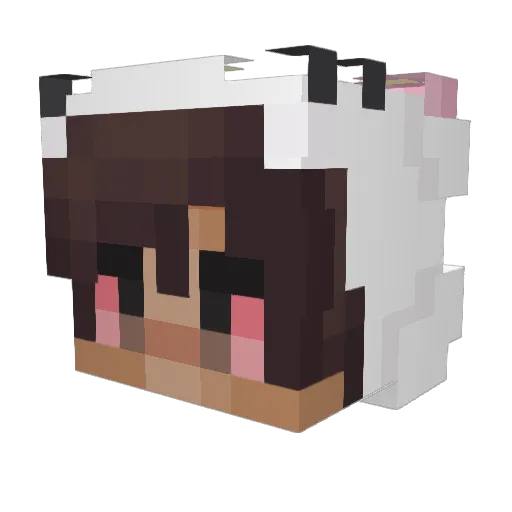 corbin008 Minecraft avatar head, 3D render