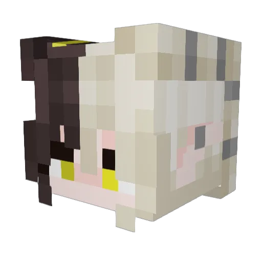 cordyannpeter Minecraft avatar head, 3D render