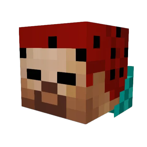 core_vortex Minecraft avatar head, 3D render