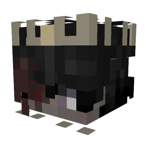 corecoreLulu Minecraft avatar head, 3D render