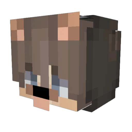 corgi1oo3 Minecraft avatar head, 3D render