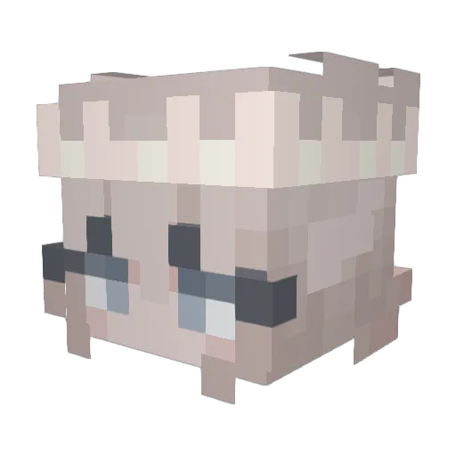 corgiattackk Minecraft avatar head, 3D render