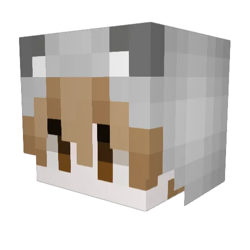 cori_XD123 Minecraft avatar head, 3D render