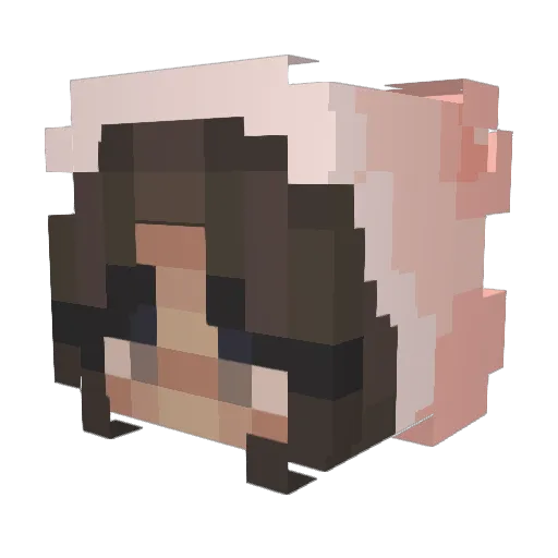 cori_nm Minecraft avatar head, 3D render