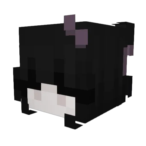 coriaana Minecraft avatar head, 3D render
