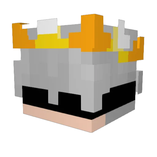 corianderleafs Minecraft avatar head, 3D render