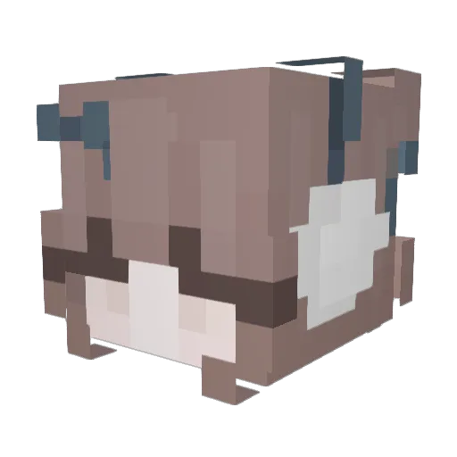 coriiixq Minecraft avatar head, 3D render