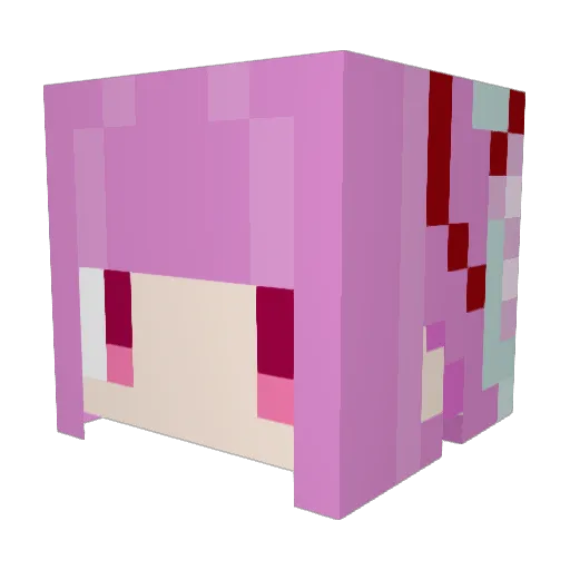 cork_board Minecraft avatar head, 3D render