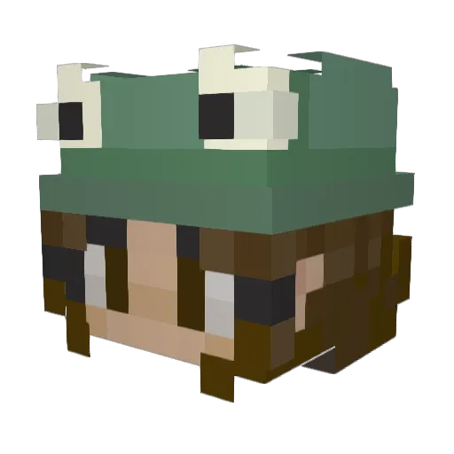 cornbeefash Minecraft avatar head, 3D render
