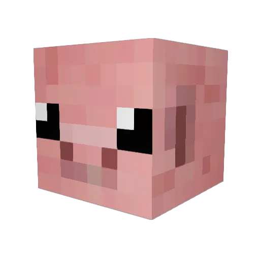 coro420 Minecraft avatar head, 3D render