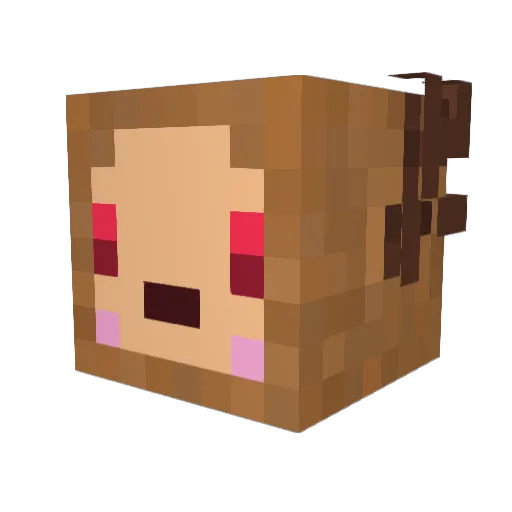 coronecoco Minecraft avatar head, 3D render