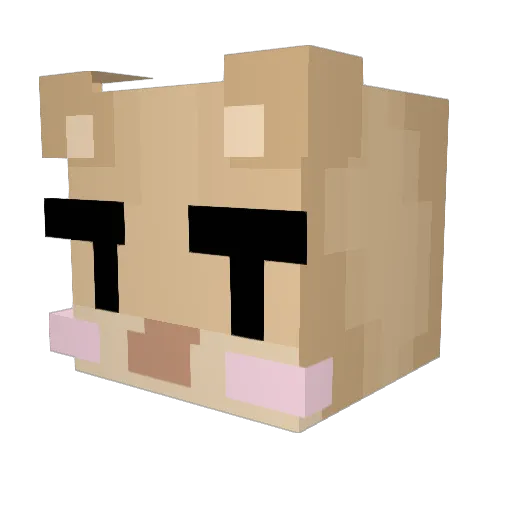 corothy12 Minecraft avatar head, 3D render