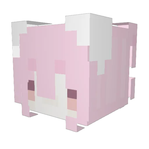 corpsef4iry Minecraft avatar head, 3D render