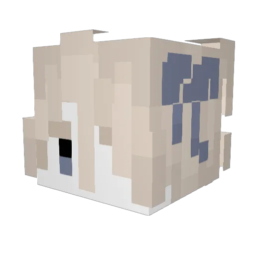 corpseroutine Minecraft avatar head, 3D render