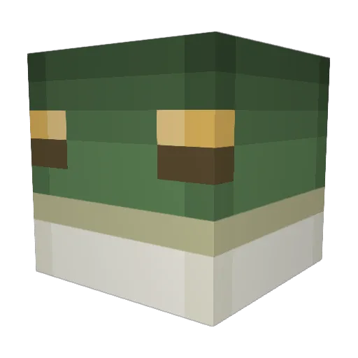 corridoxx Minecraft avatar head, 3D render
