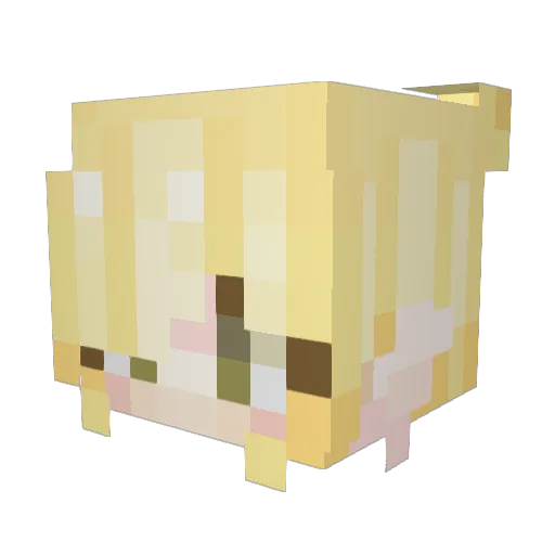 corriefolders Minecraft avatar head, 3D render