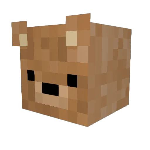corroboreefroge Minecraft avatar head, 3D render