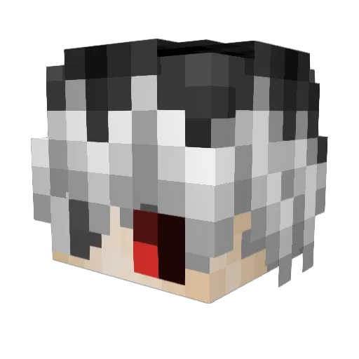 corrral23 Minecraft avatar head, 3D render