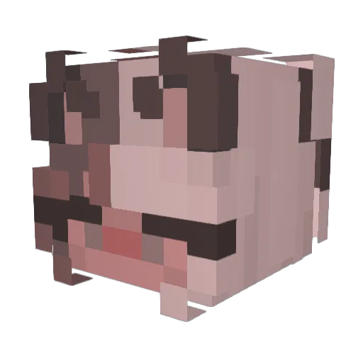 corruptedglitchz Minecraft avatar head, 3D render