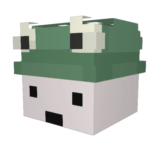 cortenebris Minecraft avatar head, 3D render