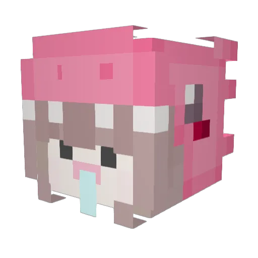 corttor Minecraft avatar head, 3D render