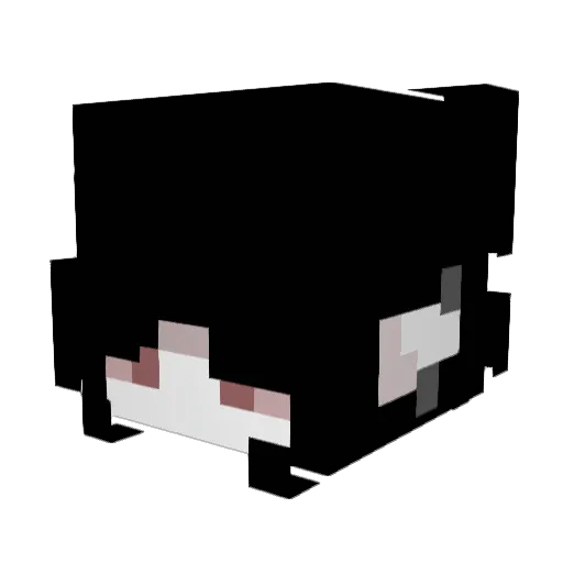 corvid_prince Minecraft avatar head, 3D render
